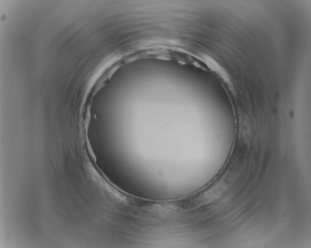 X0000076311384200610161608