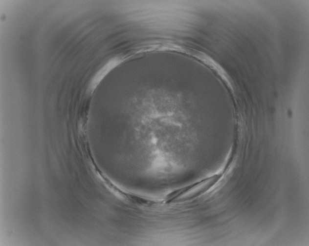 X0000076311385200610161608