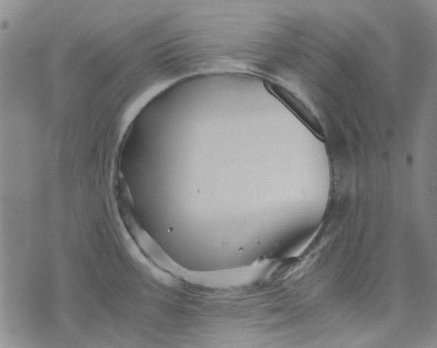 X0000076311387200610161608