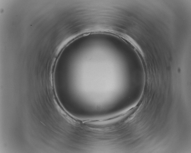 X0000076311388200610161608