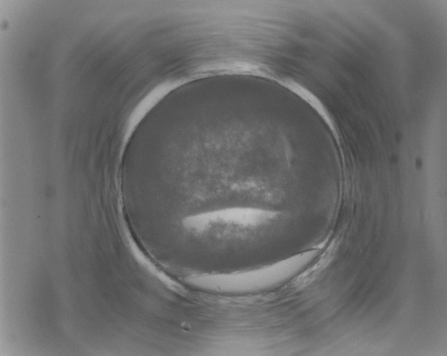 X0000076311389200610161608