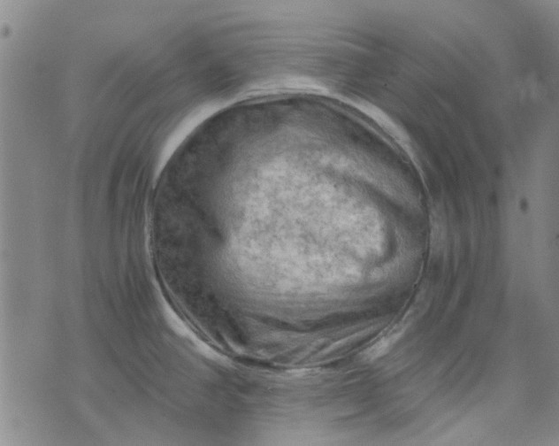 X0000076311390200610161608