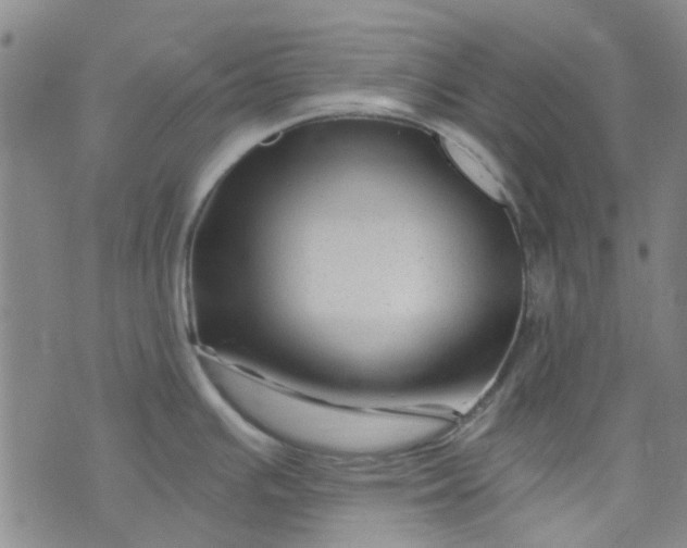 X0000076311391200610161607