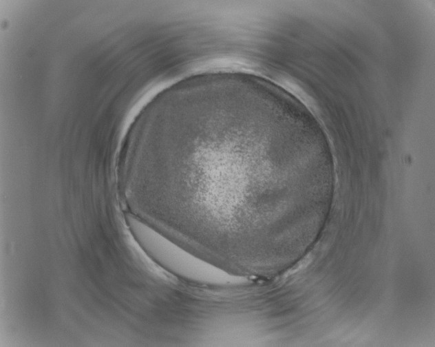 X0000076311392200610161607