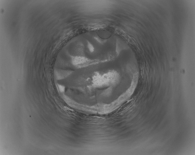 X0000076311393200610161607