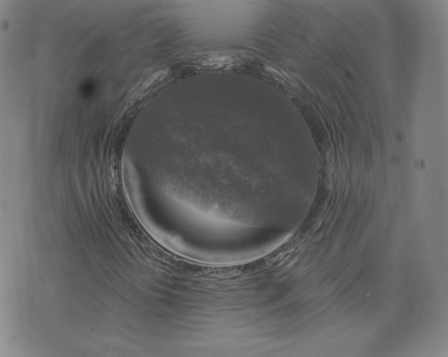 X0000076311394200610161607