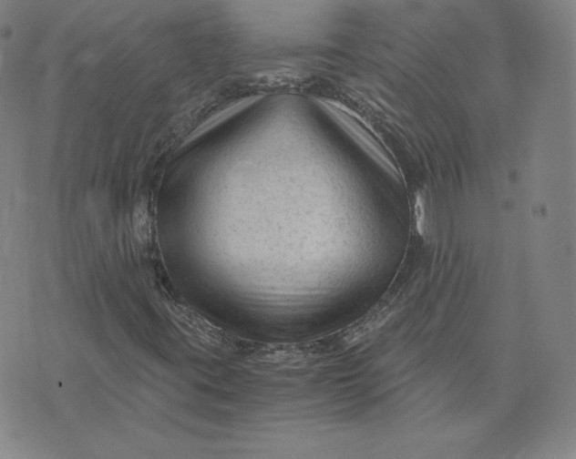 X0000076311395200610161607