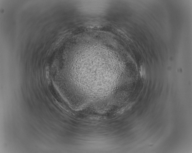 X0000076311396200610161607