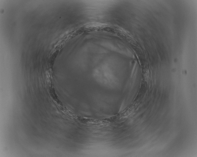 X0000076311397200610161607