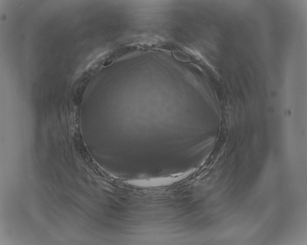 X0000076311399200610161607