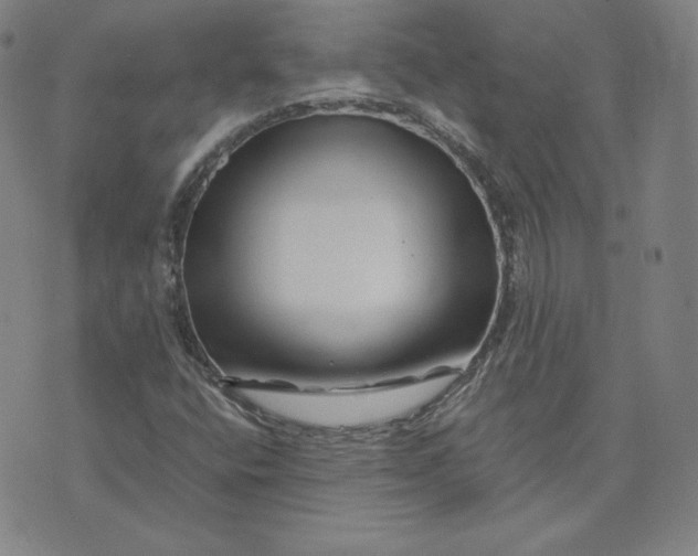 X0000076311400200610161607