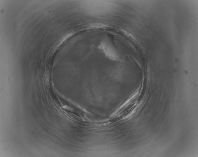 X0000076311401200610161607