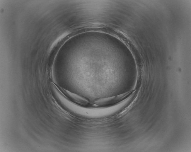 X0000076311402200610161607