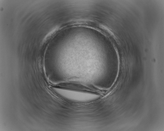 X0000076311403200610161607