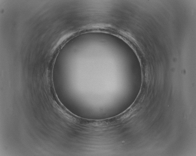 X0000076311404200610161607