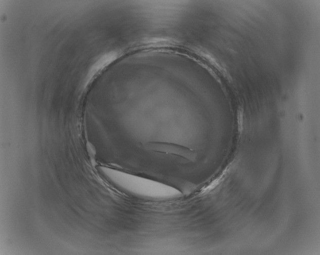 X0000076311405200610161607