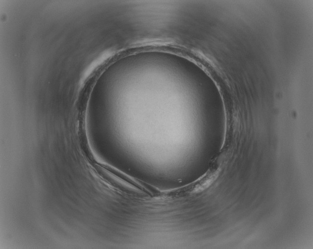 X0000076311406200610161607