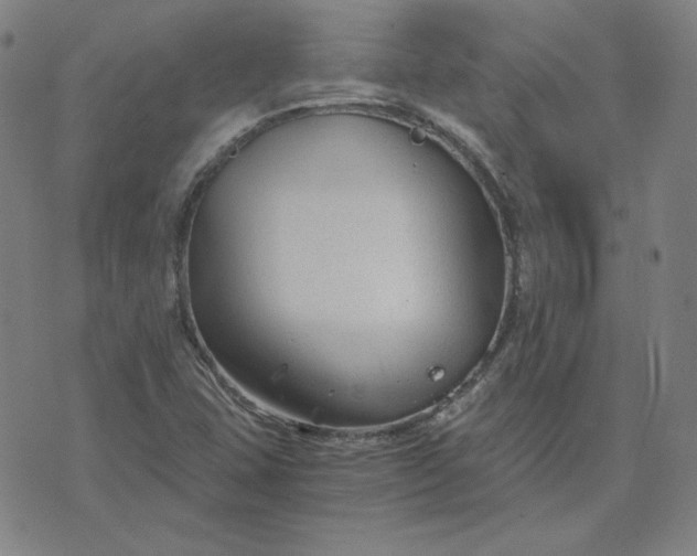 X0000076311407200610161607