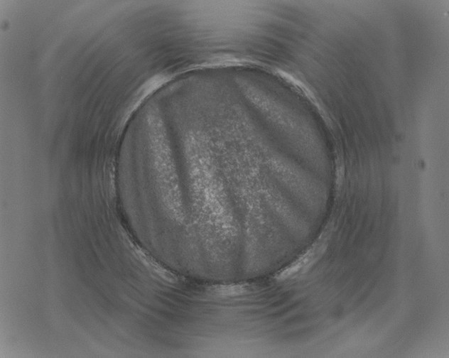 X0000076311409200610161607