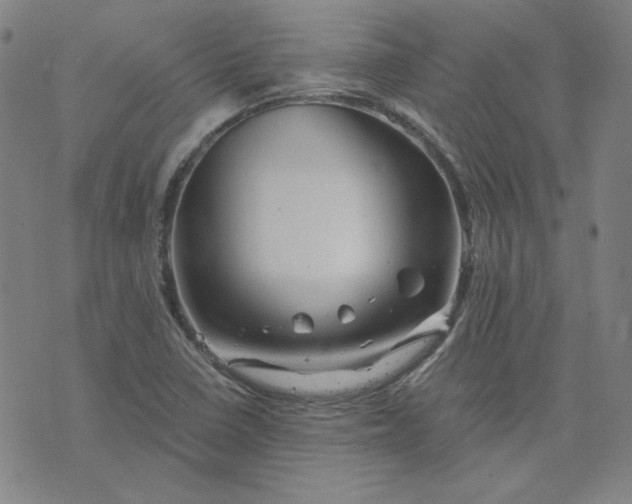 X0000076311410200610161607