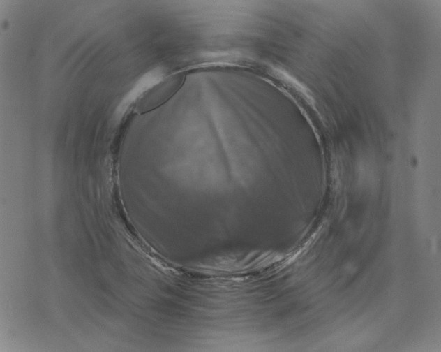 X0000076311411200610161607