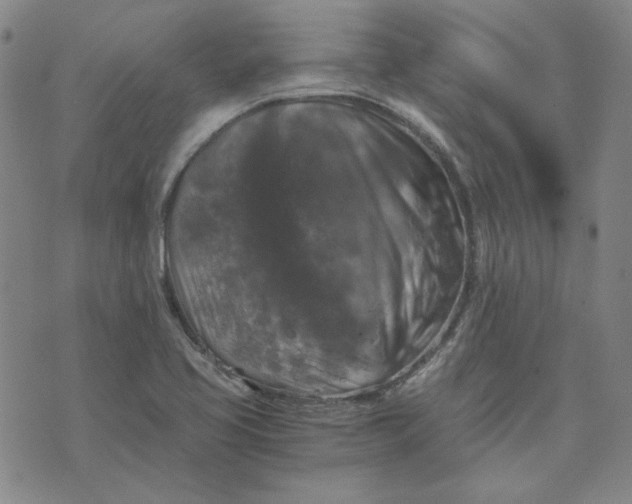 X0000076311413200610161607