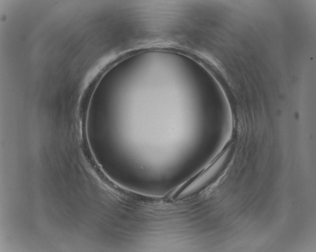 X0000076311414200610161607