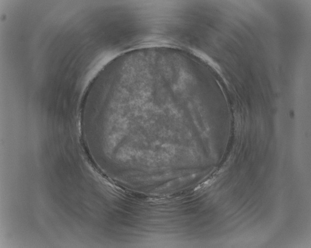 X0000076311415200610161607