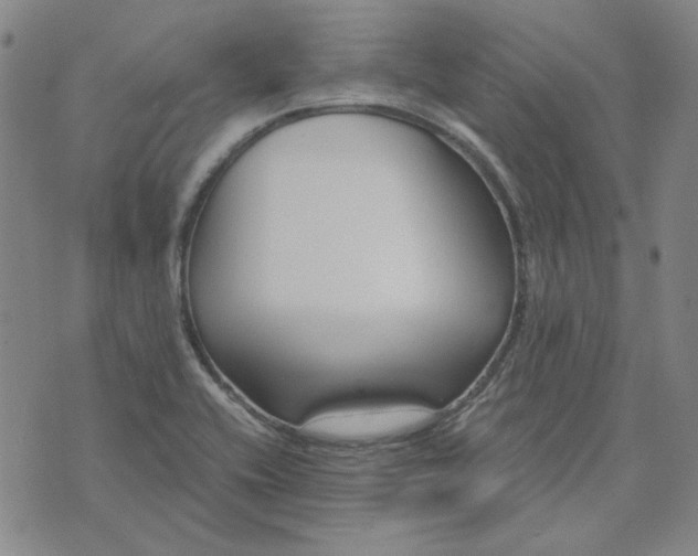 X0000076311416200610161607