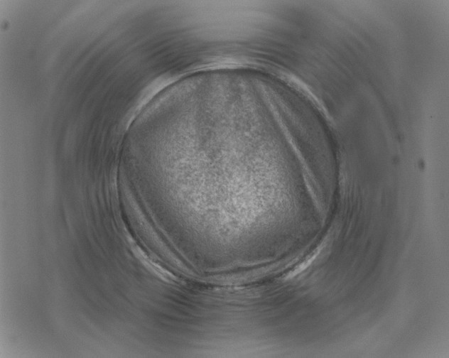 X0000076311417200610161607