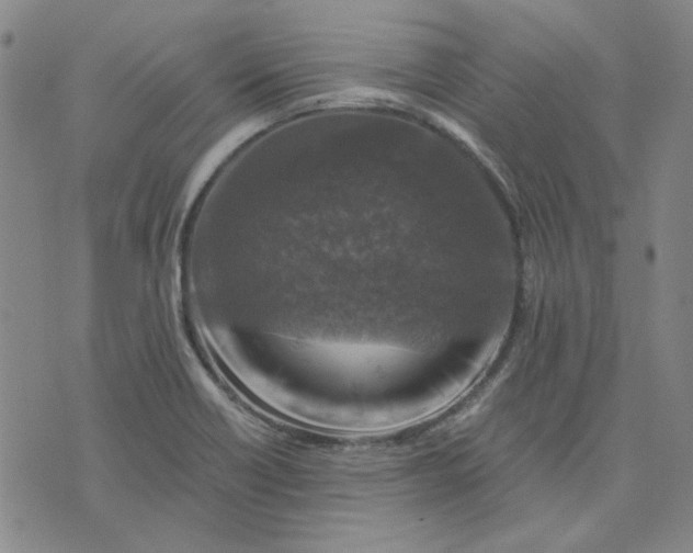 X0000076311418200610161607