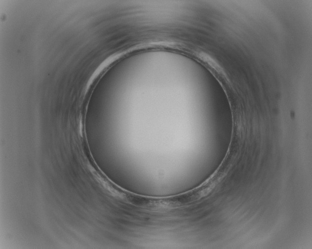 X0000076311420200610161607