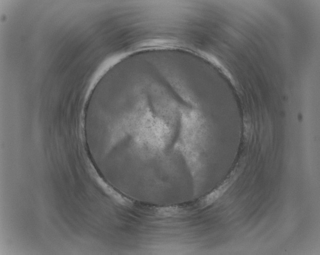 X0000076311421200610161607