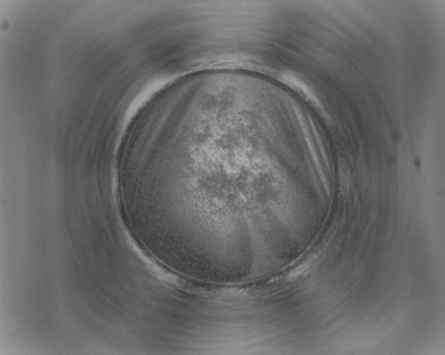 X0000076311424200610161607