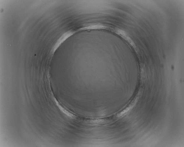 X0000076311425200610161607