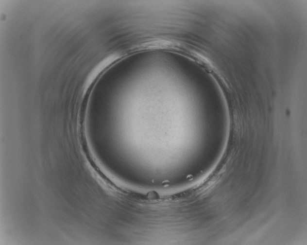 X0000076311426200610161607