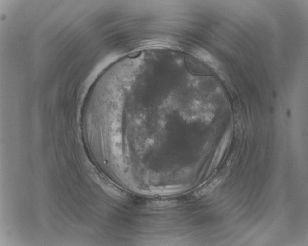 X0000076311427200610161607