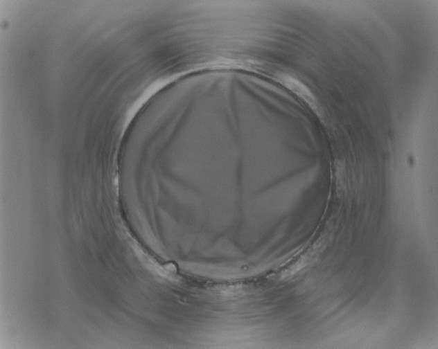 X0000076311428200610161607