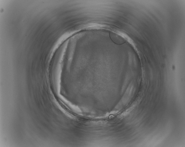 X0000076311429200610161607