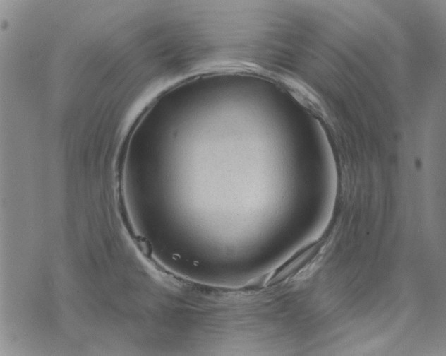 X0000076311430200610161607