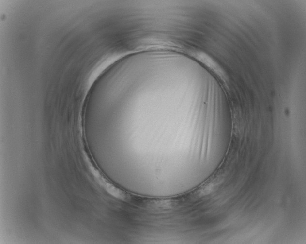 X0000076311431200610161607