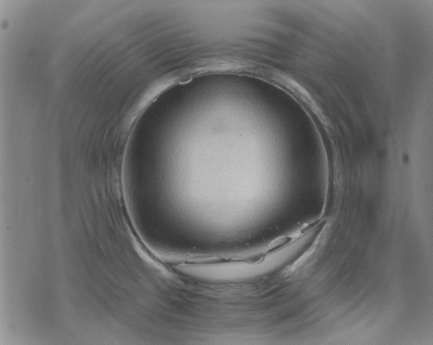 X0000076311433200610161607