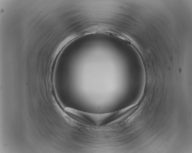 X0000076311434200610161607