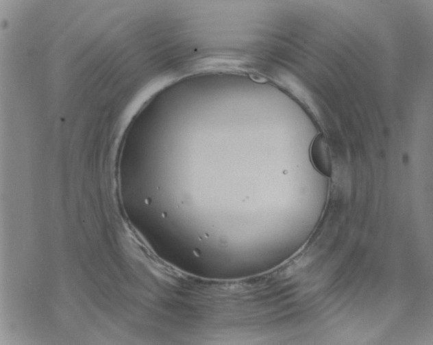 X0000076311435200610161607