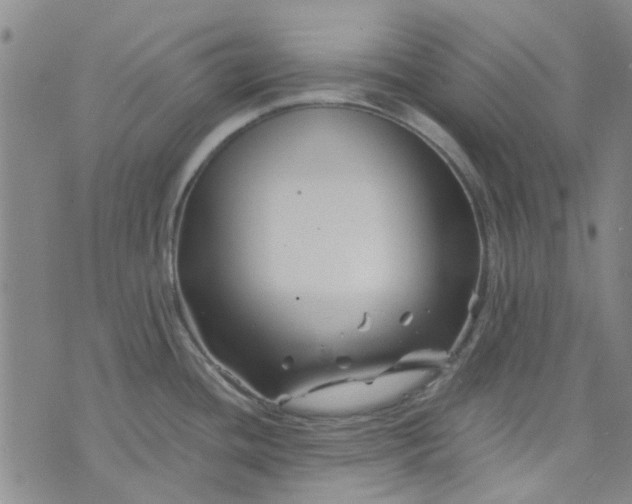 X0000076311436200610161607