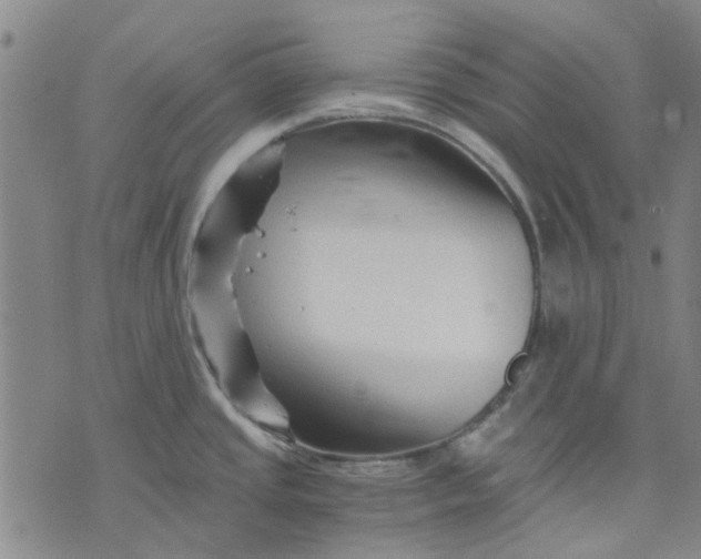 X0000076311437200610161607