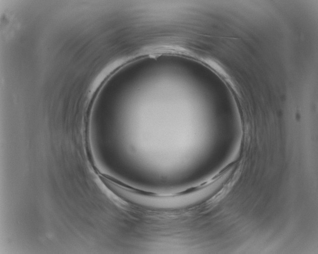 X0000076311438200610161607