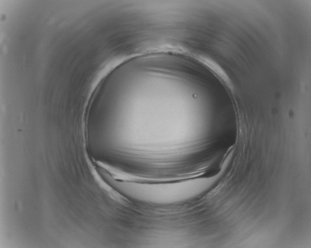 X0000076311439200610161607