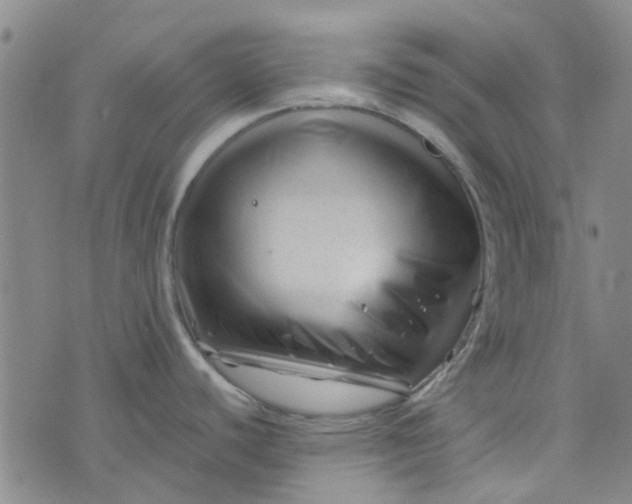 X0000076311440200610161607