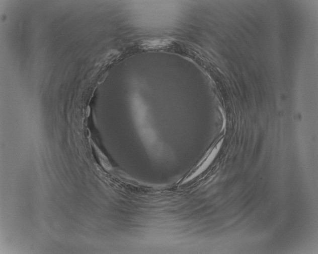 X0000076311441200610161607